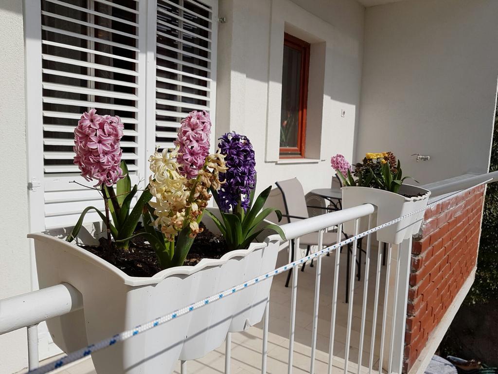 Apartment Vice Mali Split Exterior foto